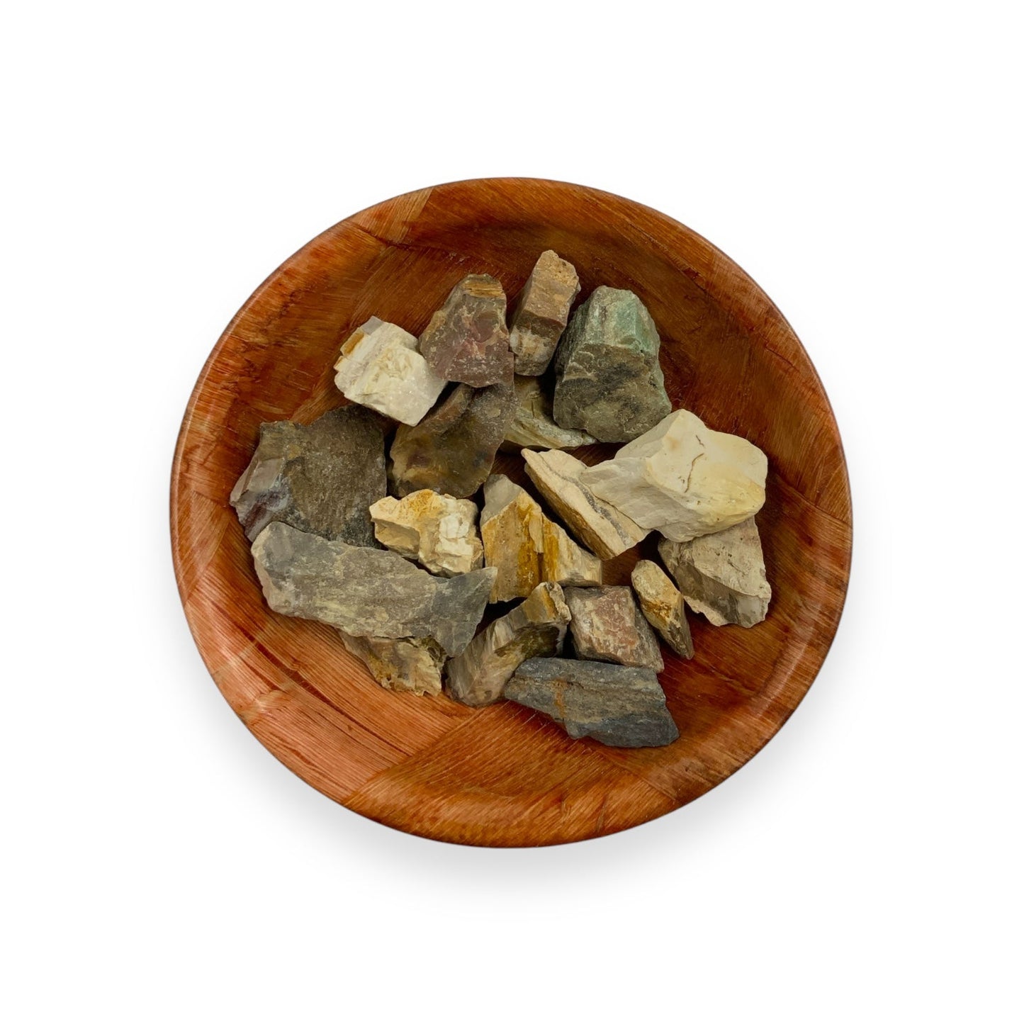 Raw Petrified Wood Crystal for Grounding, Stability & Root Chakra Support