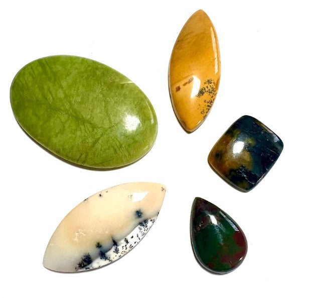 Cabochon Crystal Set (Serpentine, Dendritic Opal, Mook Jasper, Nellite, Bloodstone)