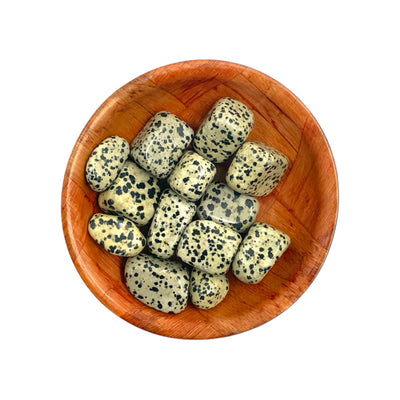 Polished Dalmatian Jasper Crystal for Focus, Boundaries & Emotional Balance