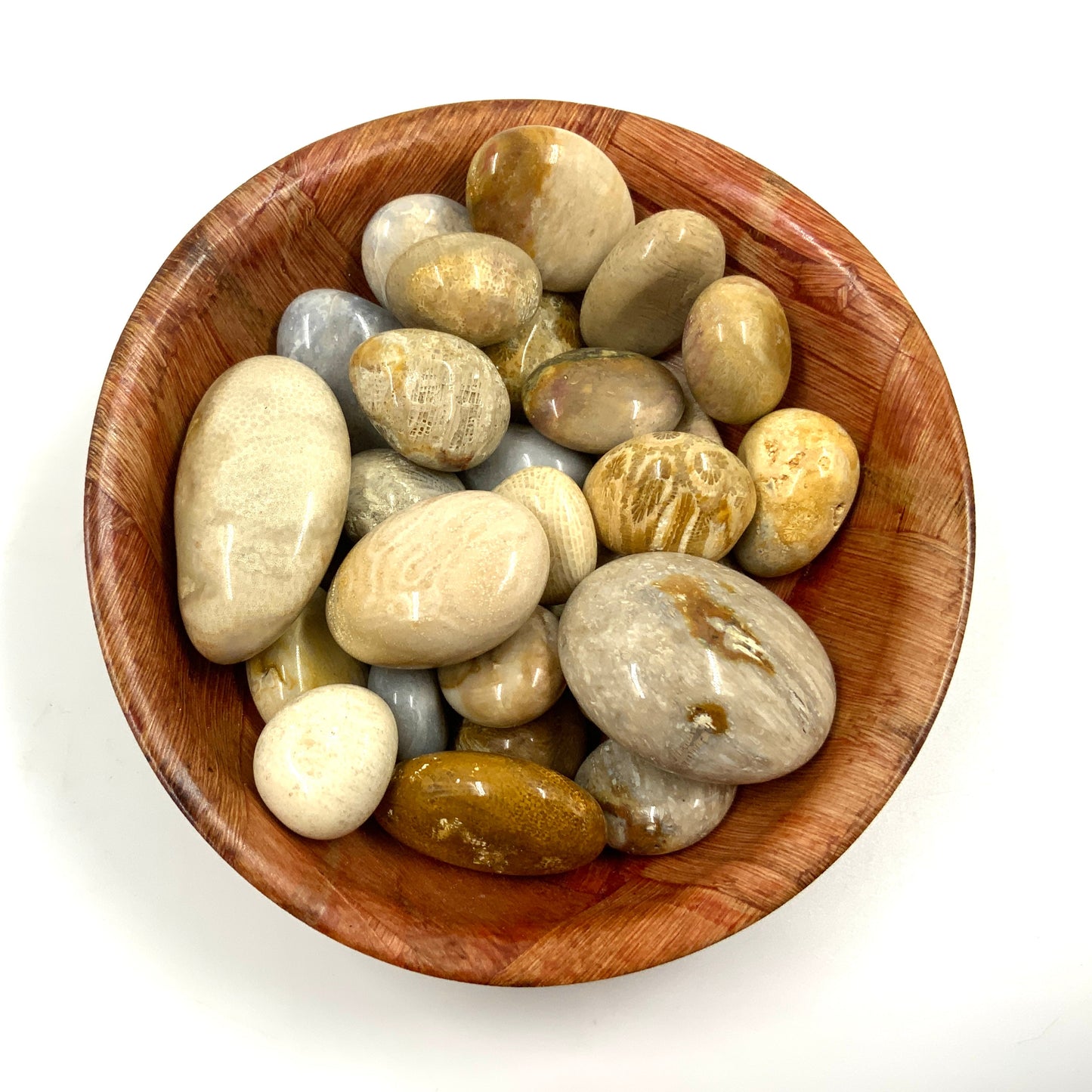Polished Fossil Coral Crystal for Grounding and Emotional Support