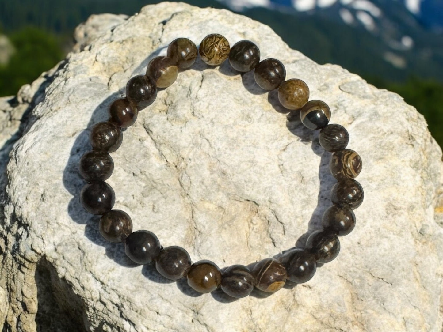 Bronzite 8mm Bead Stretch Bracelet for Protection, Grounding, and Decision-Making