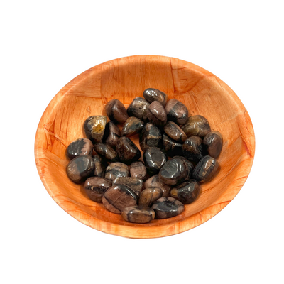 Polished Chiastolite Crystal for Protection & Transition Support