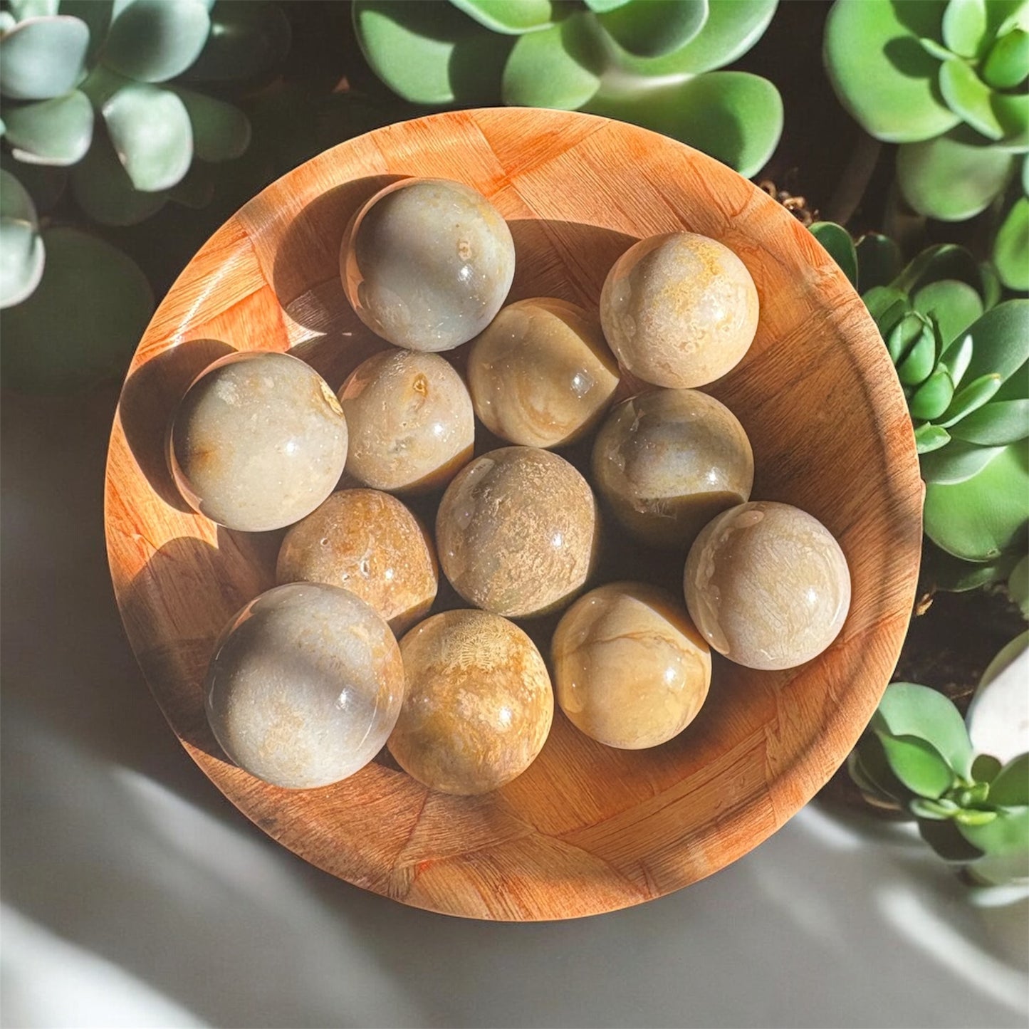 Mini Fossil Coral Sphere – Ancient Wisdom for Present-Day Peace