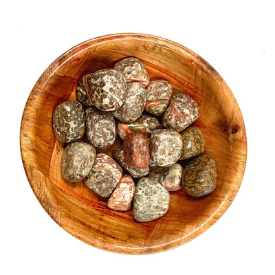 Polished Leopardskin Jasper Crystal for Emotional Support & Grounding
