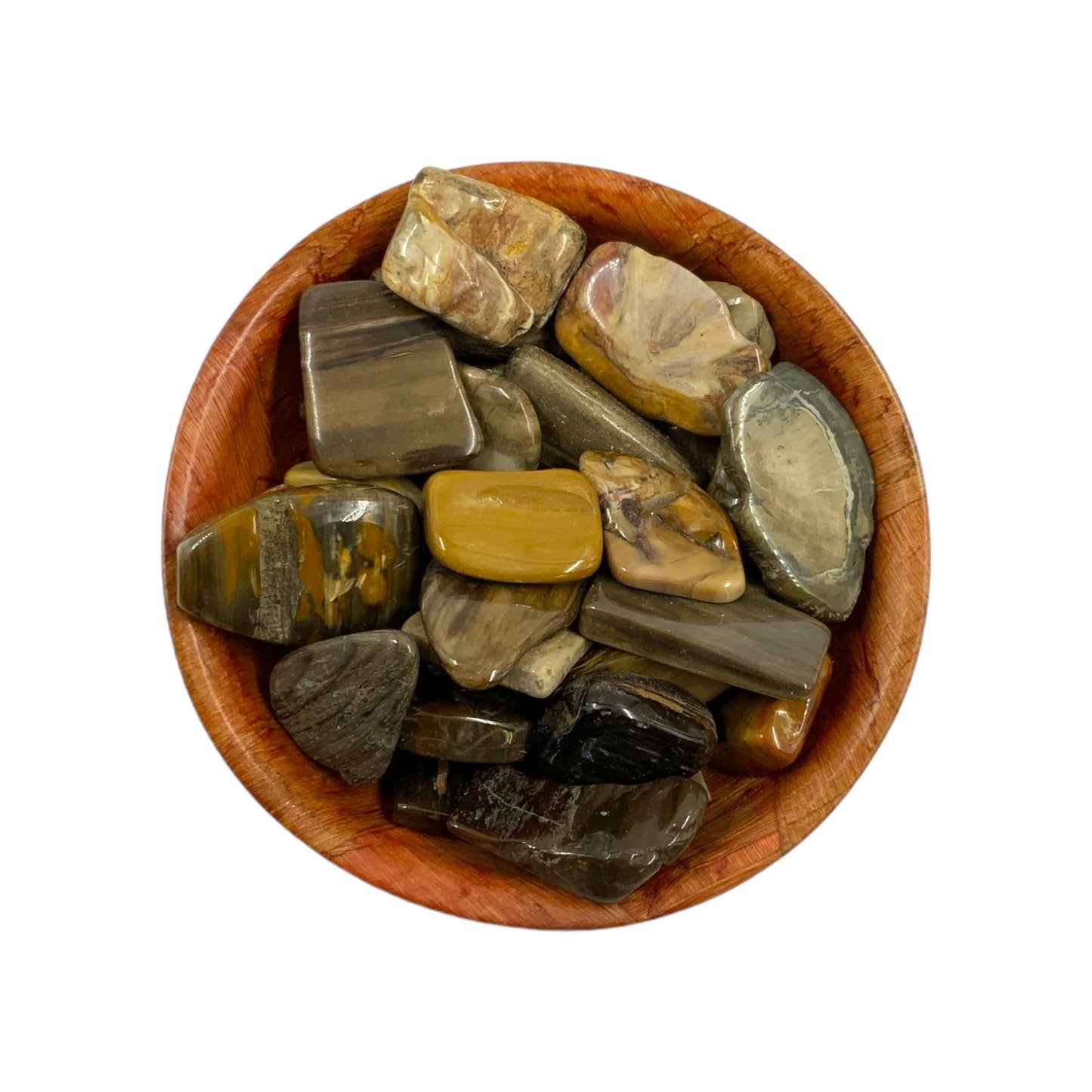 Polished Petrified Wood Crystal for Grounding, Stability & Emotional Balance