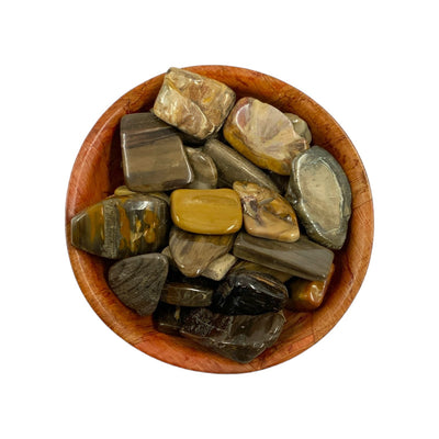 Polished Petrified Wood Crystal for Grounding, Stability & Emotional Balance