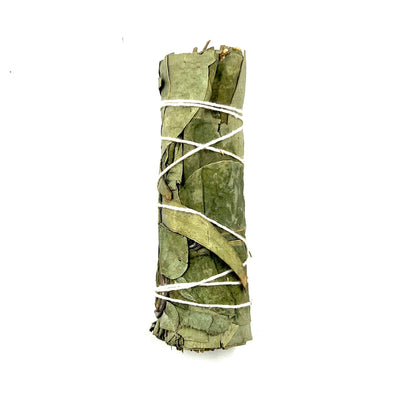 Eucalyptus Herb Wand