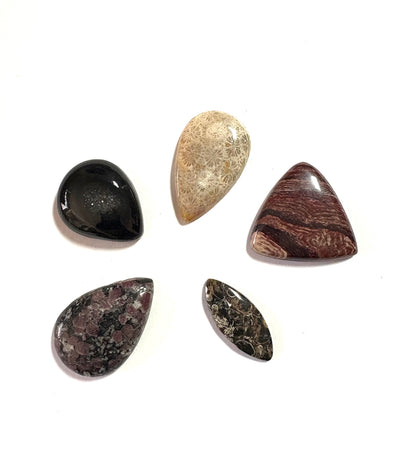 Cabochon Crystal Set (Black Agate, Ruby in Matrix, Turritella Agate, Red Snakeskin Jasper, Fossil Coral)