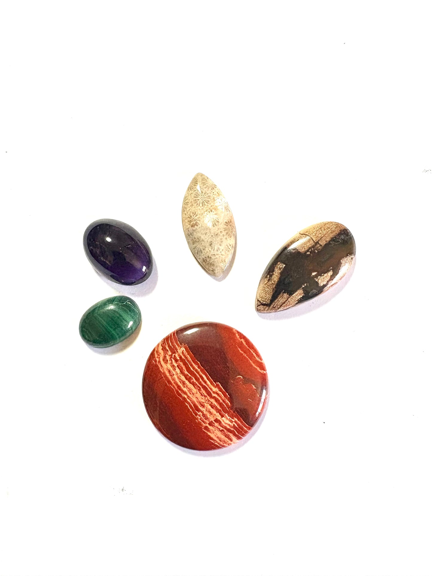 Cabochon Crystal Set (Thunder Egg Agate, Amethyst, Fossil Coral, Red Snakeskin Jasper, Malachite)