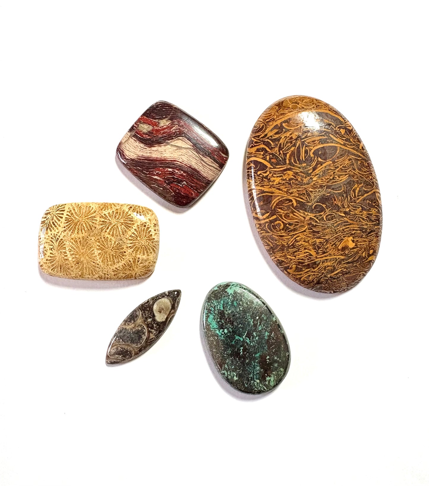 Cabochon Crystal Set (Miriam Jasper, Fossil Coral, Chrysocolla, Turritella Agate, Red Snakeskin Jasper)