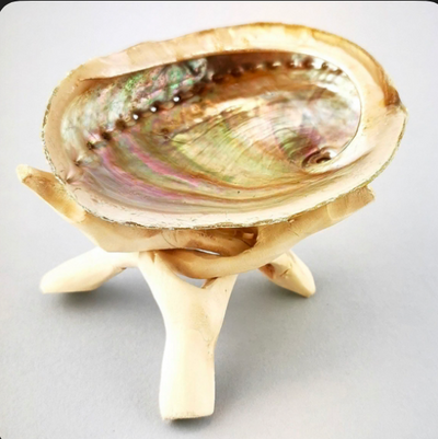 Mini Abalone Shell w/stand