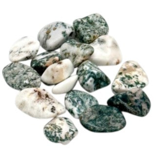 Polished Tree Agate Crystal for Grounding & Emotional Balance