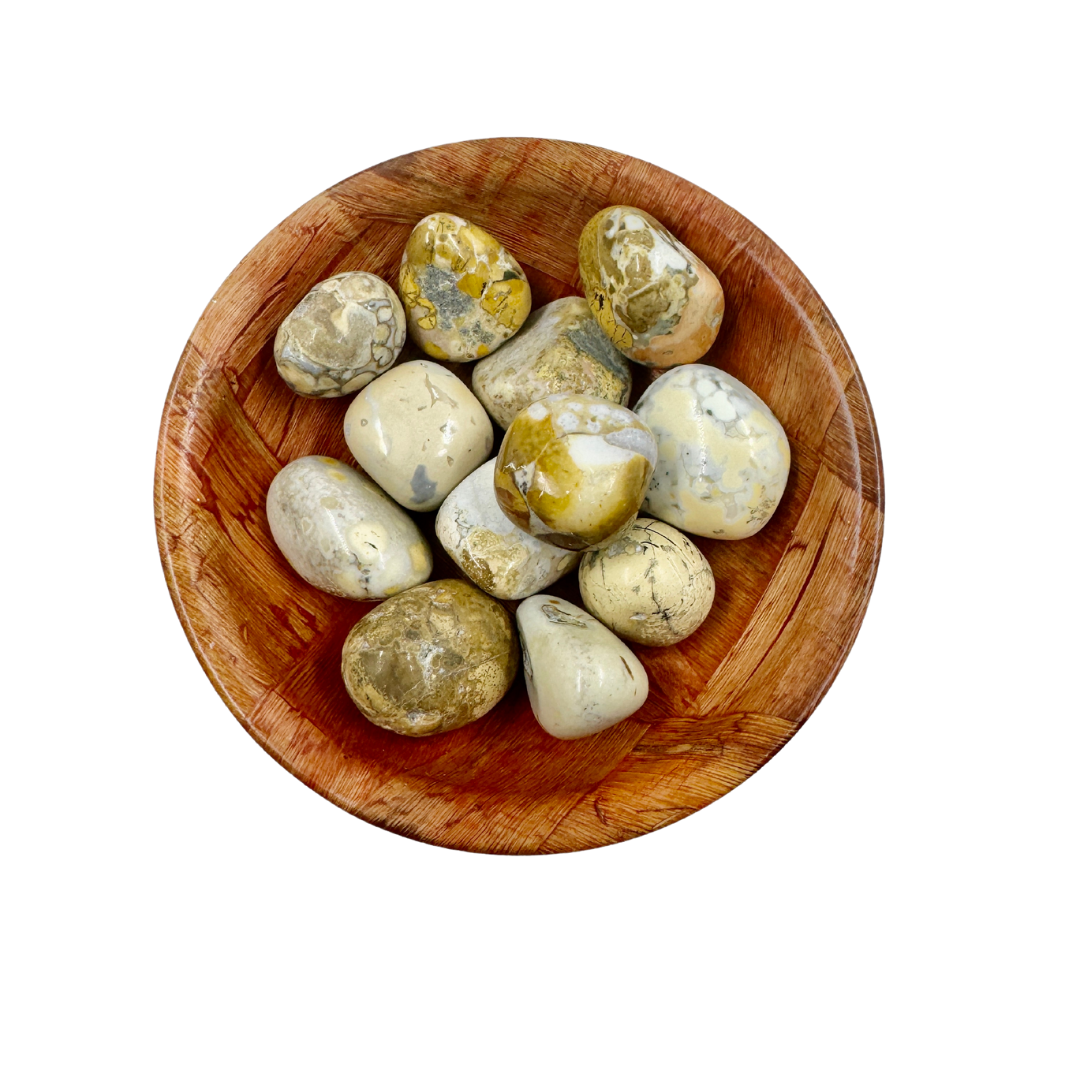 Polished King Cobra Jasper Crystal for Grounding & Emotional Strength