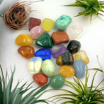 Polished Pocket Crystals