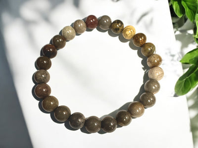 Polychrome Jasper 8mm Bead Stretch Bracelet for Stability, Resilience, and Grounded Energy