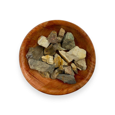 Raw Petrified Wood Crystal for Grounding, Stability & Root Chakra Support