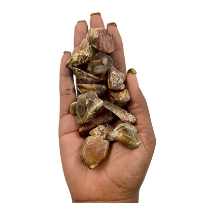 Polished Amphibole Quartz Crystal for Meditation & Energy Clarity