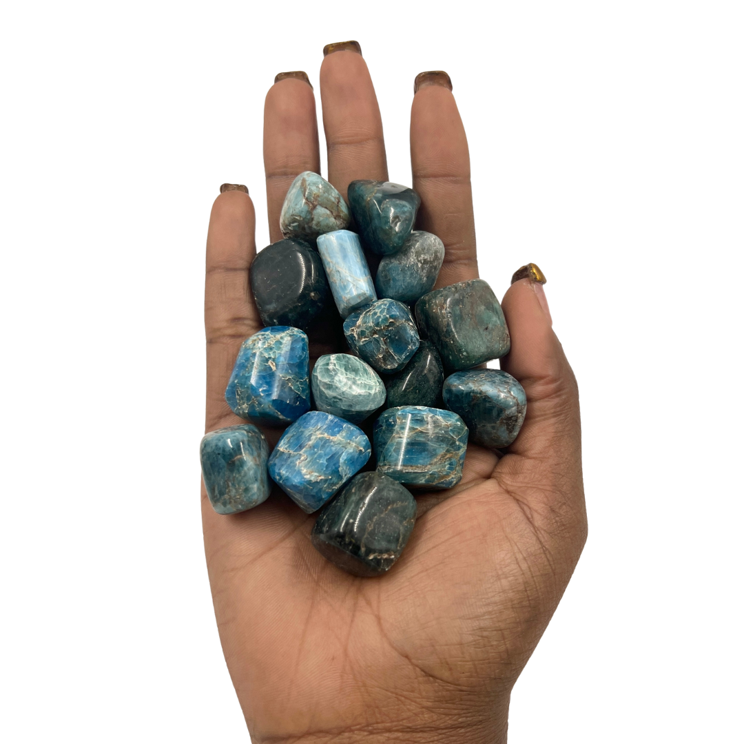 Polished Blue Apatite Crystal for Focus, Motivation & Clear Communication