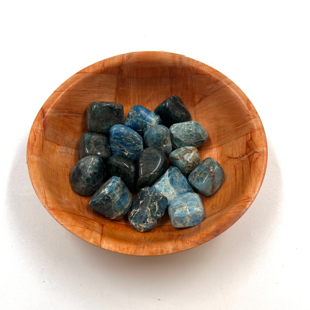 Polished Blue Apatite Crystal for Focus, Motivation & Clear Communication