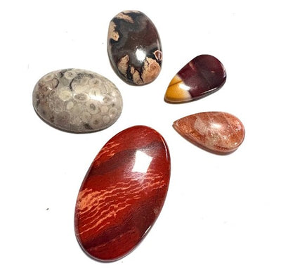 Cabochon Crystal Set (Red Snakeskin Jasper,	Sunstone, Mook Jasper, Thunder Egg Agate, Fossil Coral)