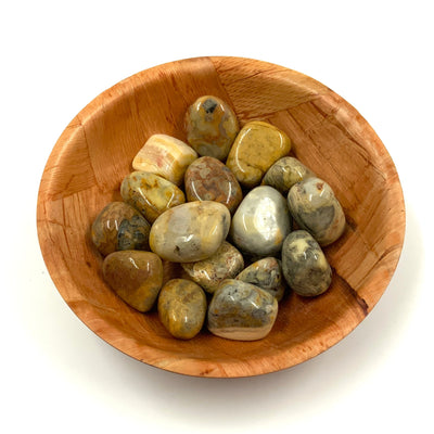 Polished Crazy Lace Agate Crystal for Emotional Balance & Focus