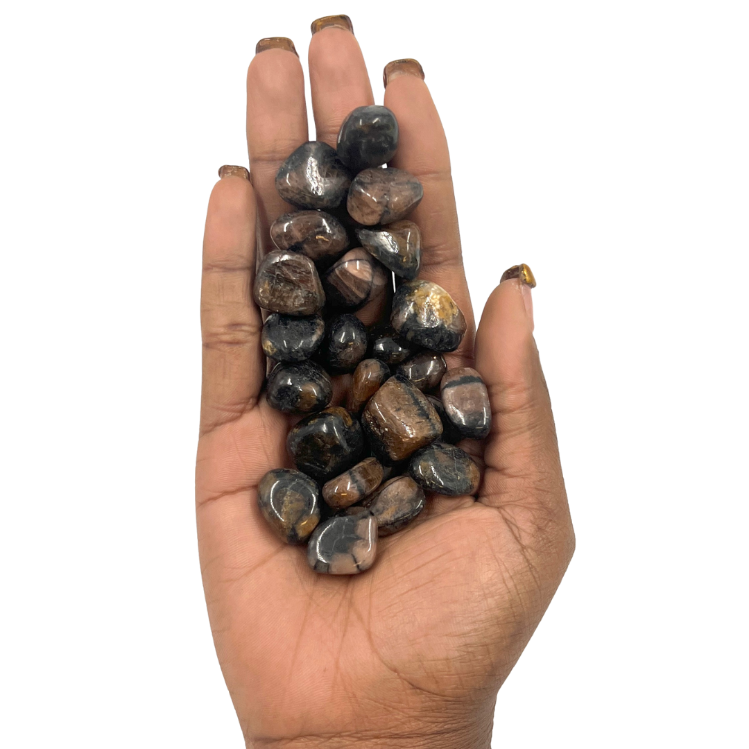 Polished Chiastolite Crystal for Protection & Transition Support