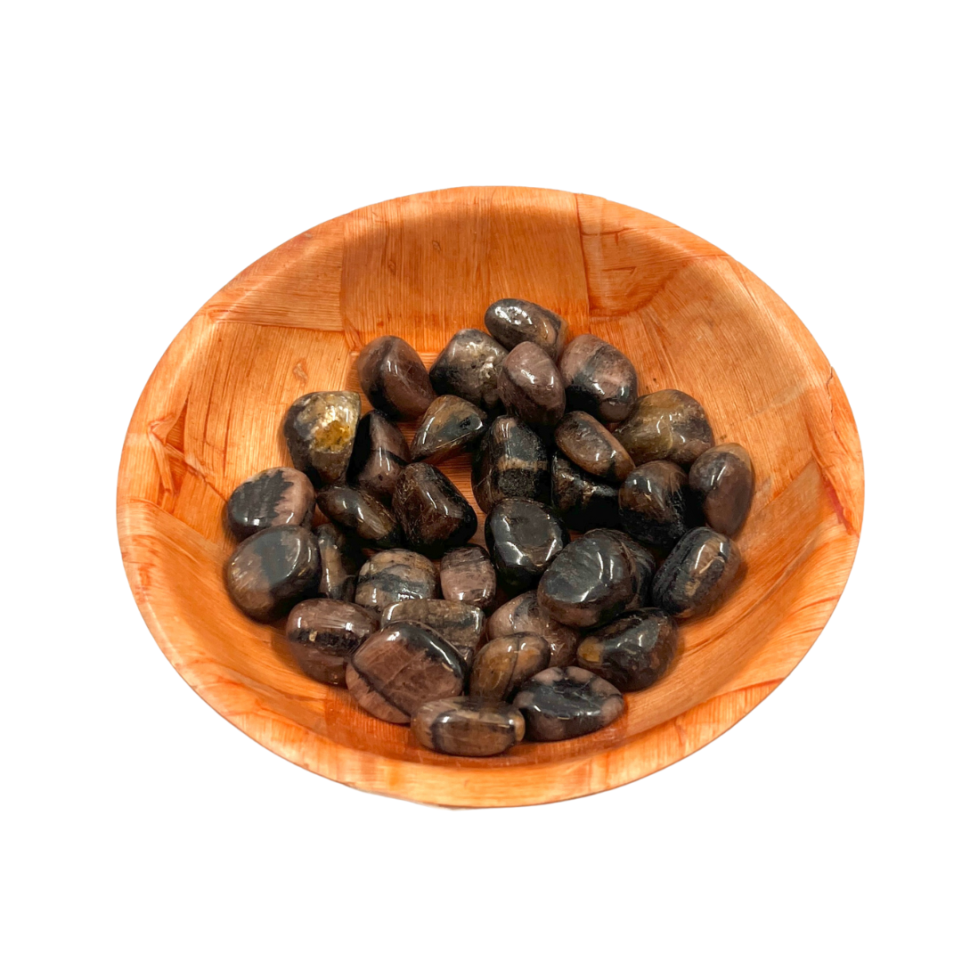 Polished Chiastolite Crystal for Protection & Transition Support