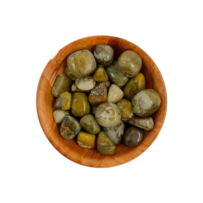 Polished Nellite Crystal for Focus, Strength & Grounding