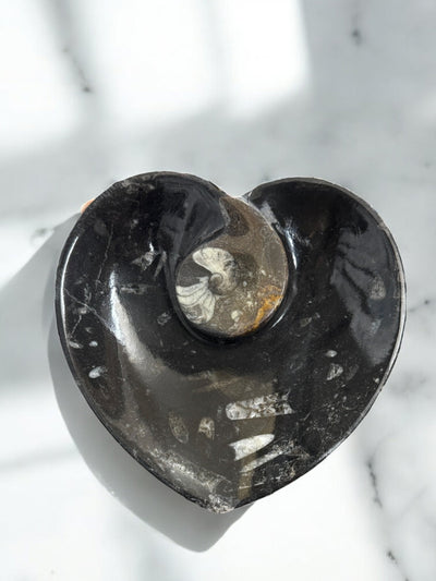Orthoceras Heart Dish for Healing Energy & Sacred Space Décor