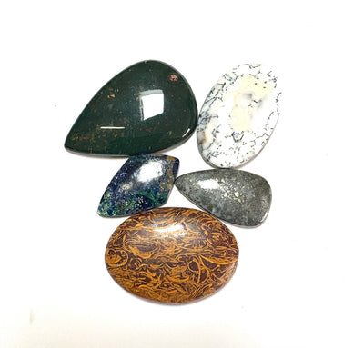 Cabochon Crystal Set (Miriam Jasper, Dendritic Opal, Azurite, Marcasite, Red Snakeskin Jasper)