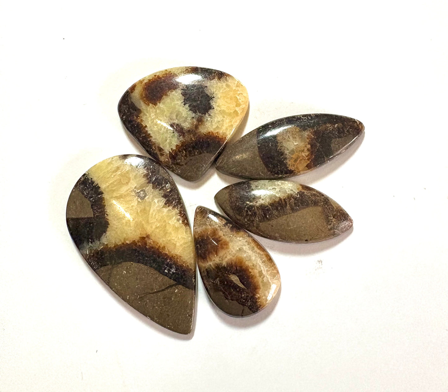 Cabochon Crystal Set (Septarian)