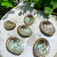 Abalone Shell