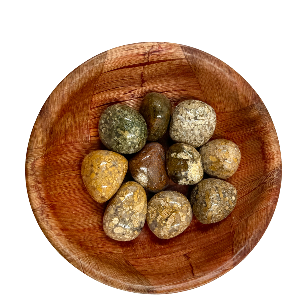 Polished Ibis Jasper Crystal for Grounding & Emotional Stability