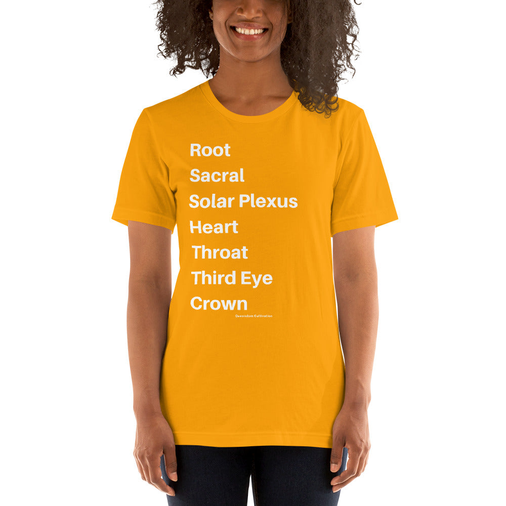 The Chakras Unisex t-shirt