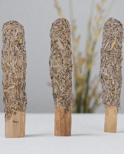 Palo Santo Sticks Hand-Rolled in Blue Sage – Cleansing & Protection