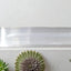 Selenite Incense Burner 8" for Cleansing & Home Energy Balance