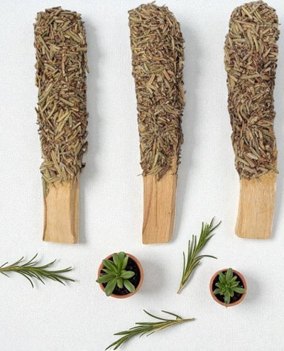 Palo Santo Sticks Hand-Rolled in Rosemary – Cleansing & Calming